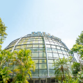 Space Space Frame Glass Atrium Dome Crow Contruct